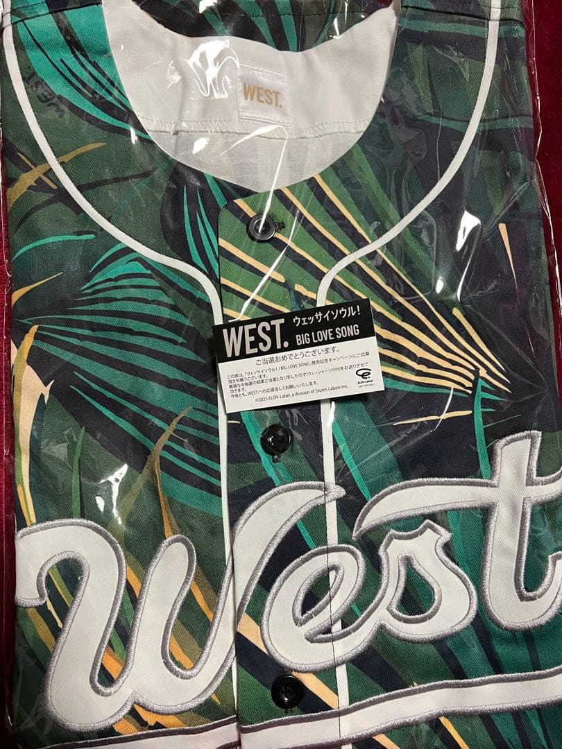 ウェッシャーツ!!!!!!! 緑 神山智洋