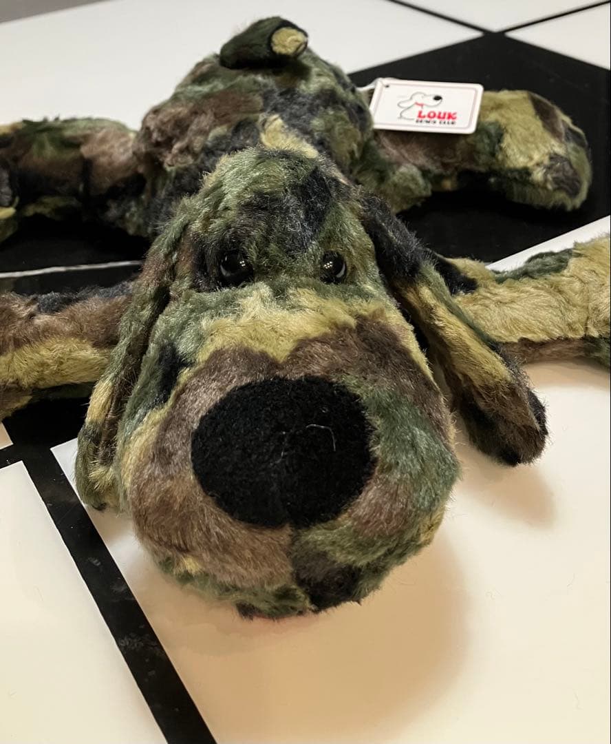 ★★ SONGです★★ 子犬のるーくL　カモフラフィールド