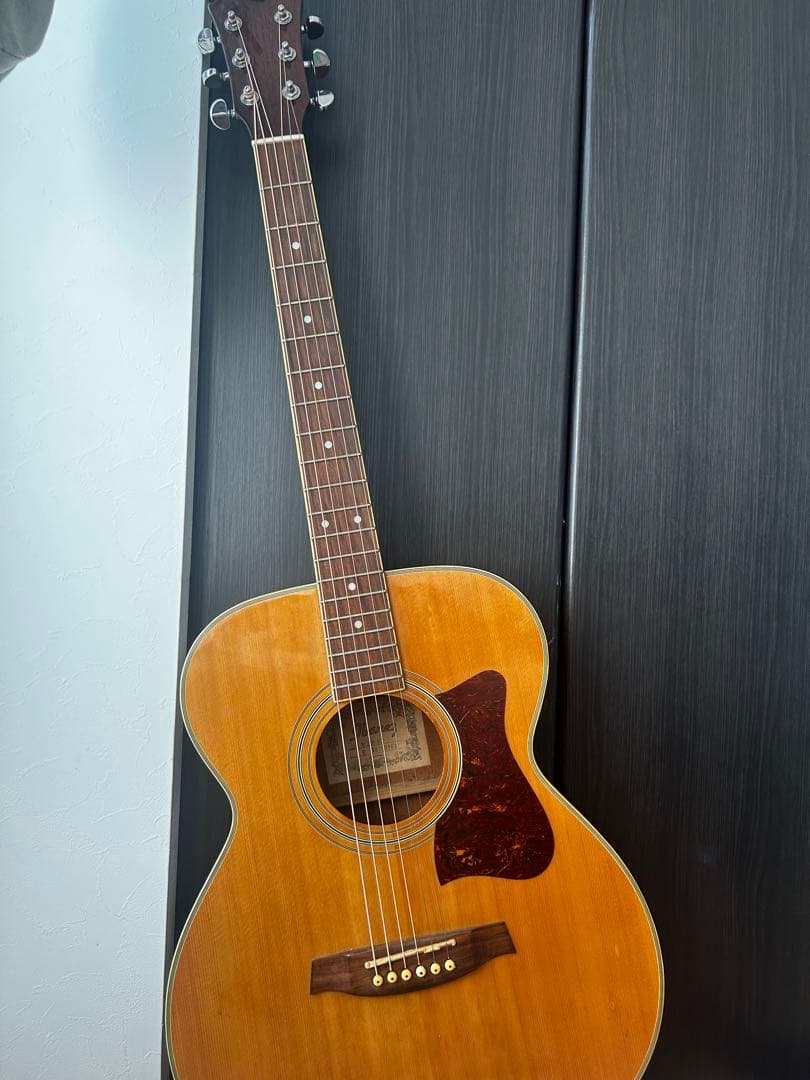 Ibanez V 200 NT アコースティックギター