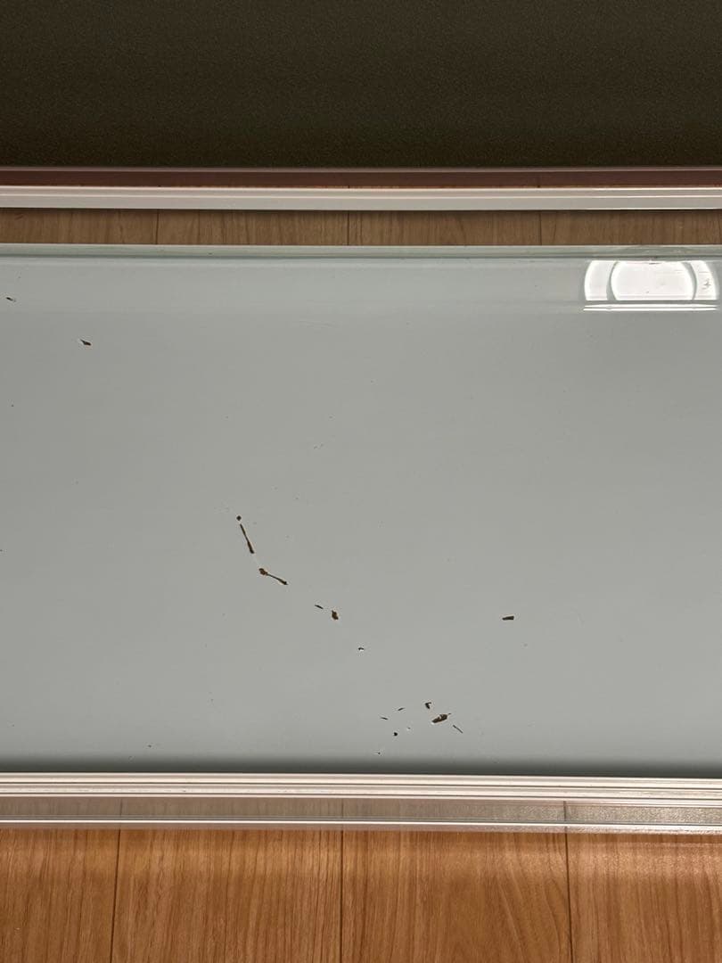 爬虫類ケージ　三晃商会　パンテオンWH9045 小動物ガラスケージ※直接受け渡し