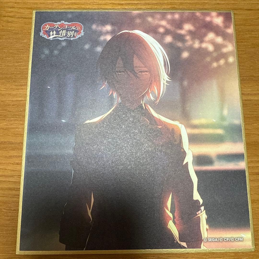 プロジェクトセカイ　プロセカ　ミニ色紙コレクション　27C カテコ　神代類