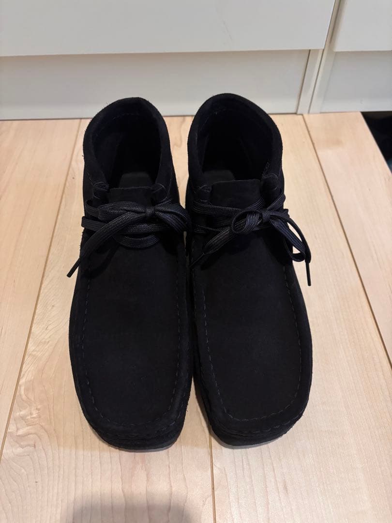 クラークスワラビー