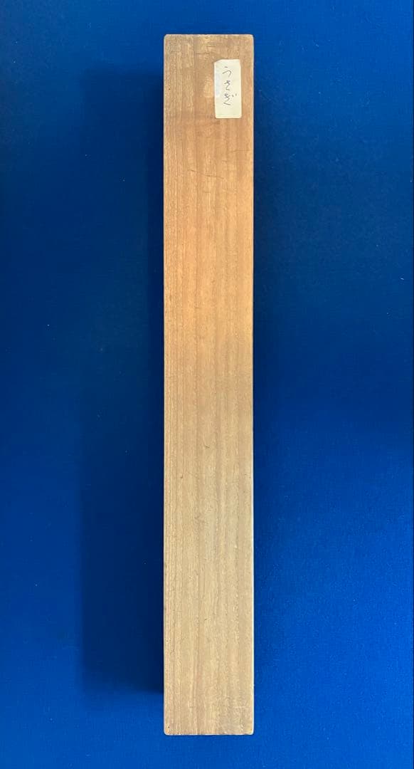 尾竹越堂【うさぎ】絹本　掛軸（尾竹竹坡）（尾竹国観）