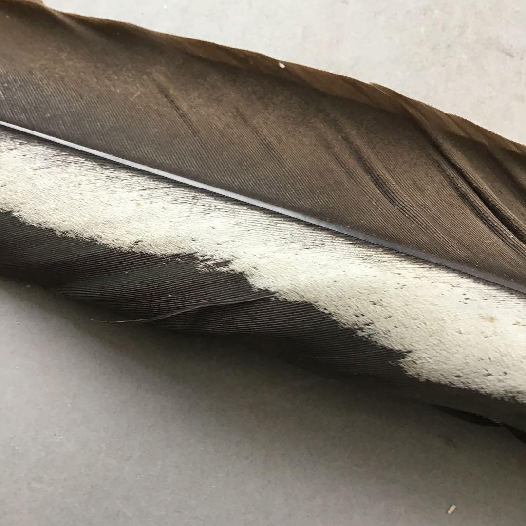 茶道具　御羽箒　三ツ羽根(野雁)羽箒　紙箱劣化有　S68HB