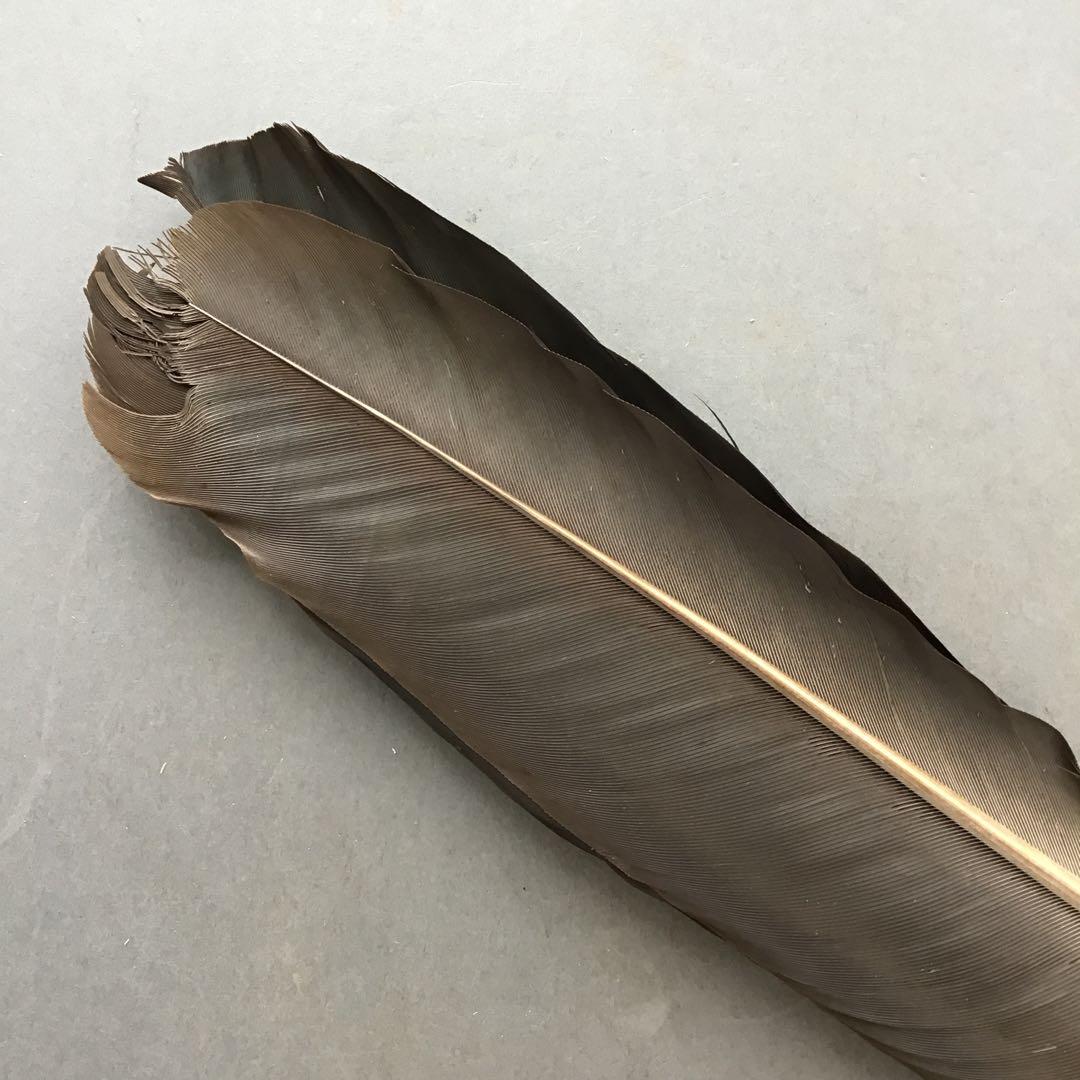 茶道具　御羽箒　三ツ羽根(野雁)羽箒　紙箱劣化有　S68HB