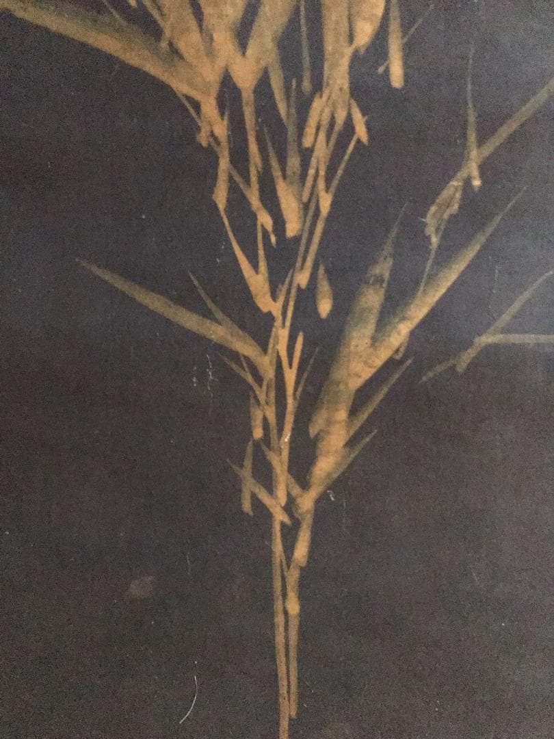 掛け軸　谷文晁