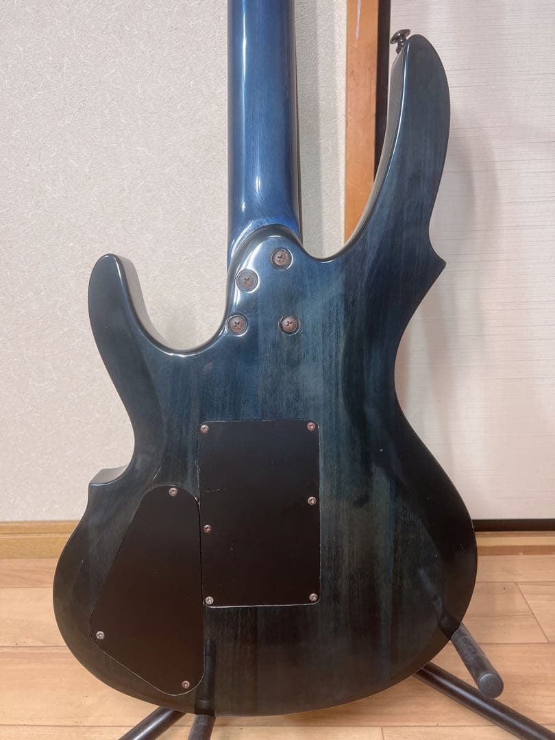 GRASS ROOTS グラスルーツ エレキギター