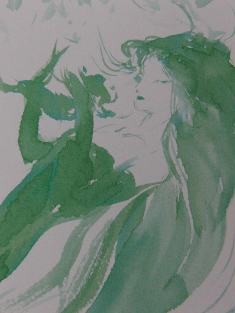 天野喜孝、希少な額装用画集より、新品額装付、状態良好