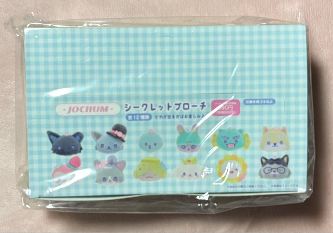 JOCHUM キャンディ　シークレットブローチ 全12種コンプリート　新品未開封