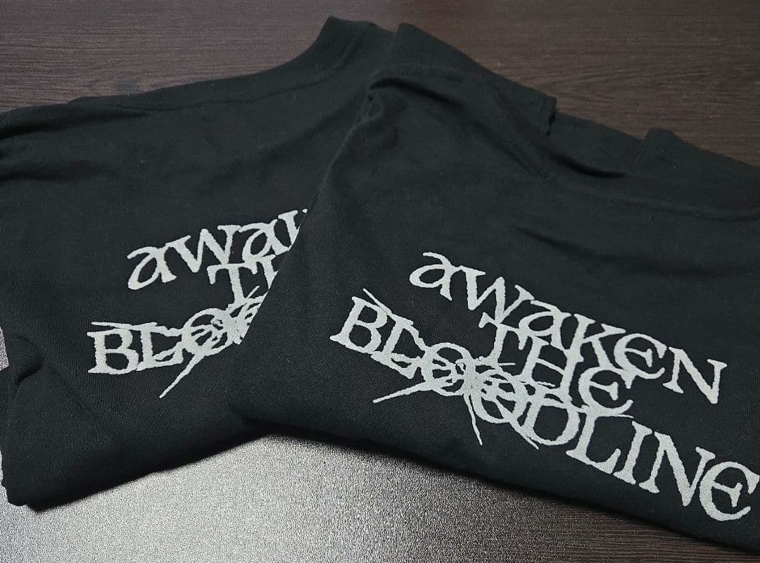 &TEAM　Tシャツ　雑誌　CD　トレカ　フォトカ　K　ニコラス　ハルア　など