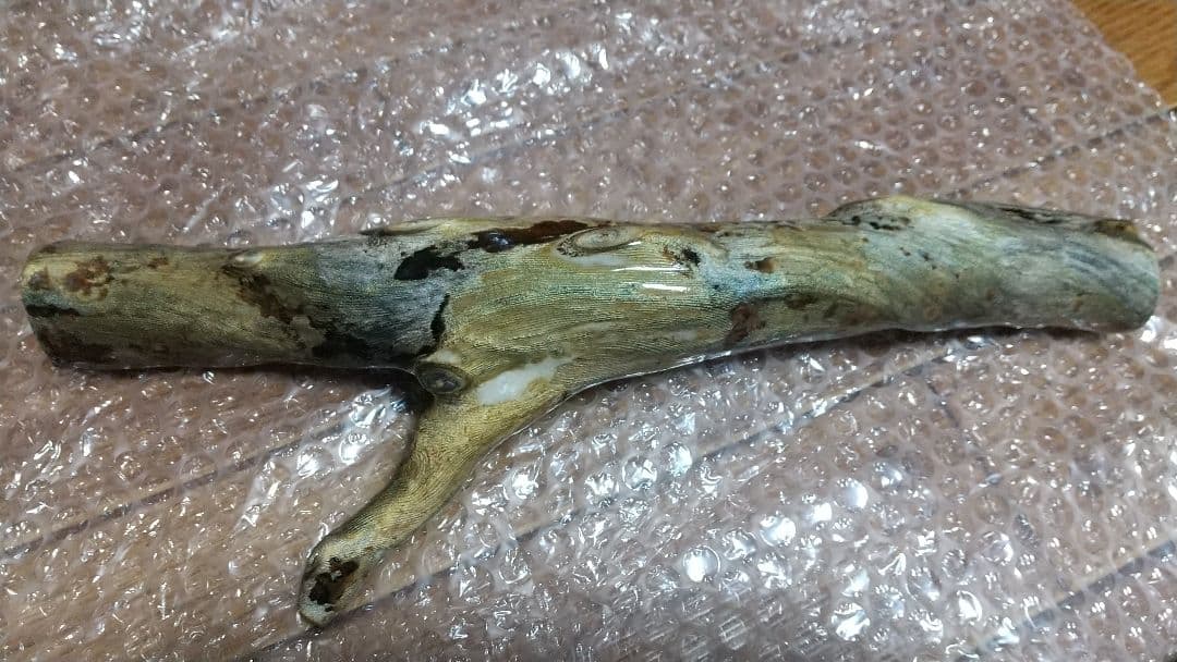 【弥生 6/5】深海松　レインボーコーラル　虹色珊瑚【大 650g】原木