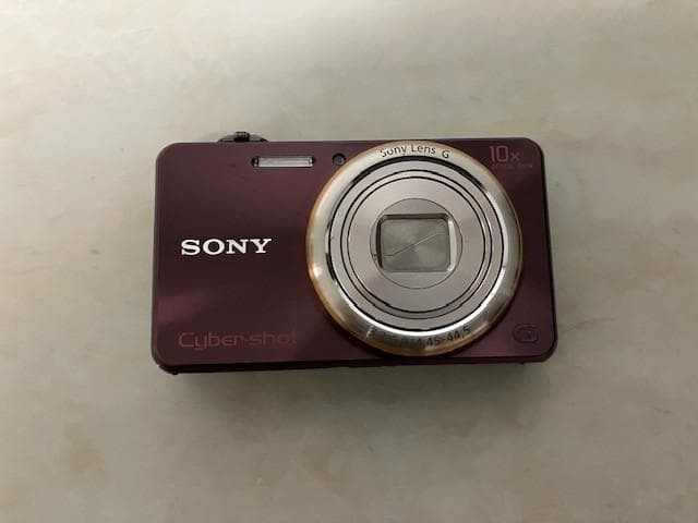 【動作確認済み】ソニー Cyber-shot DSC-WX100（ピンク）