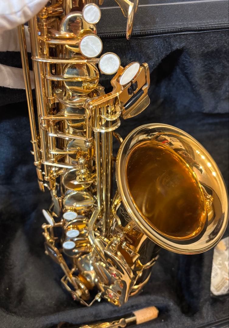 アルトサックス 初心者入門セット/ゴールド(送料込み)