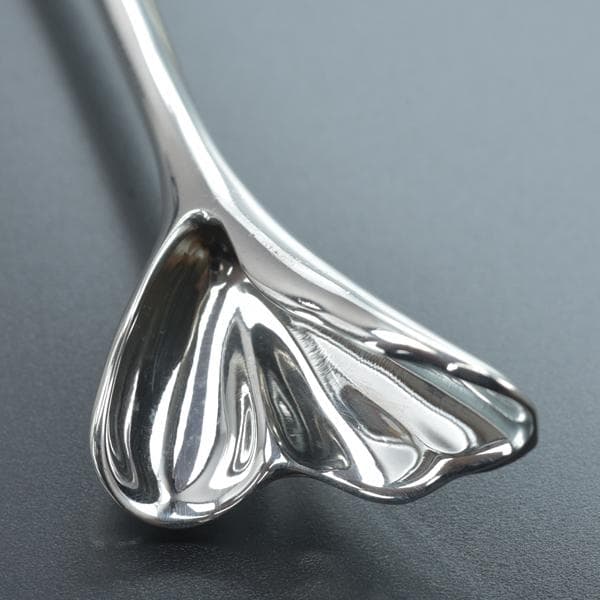 新品仕上げ◇ティファニー イチョウ ブローチ SV925 シルバー 磨き済 銀杏