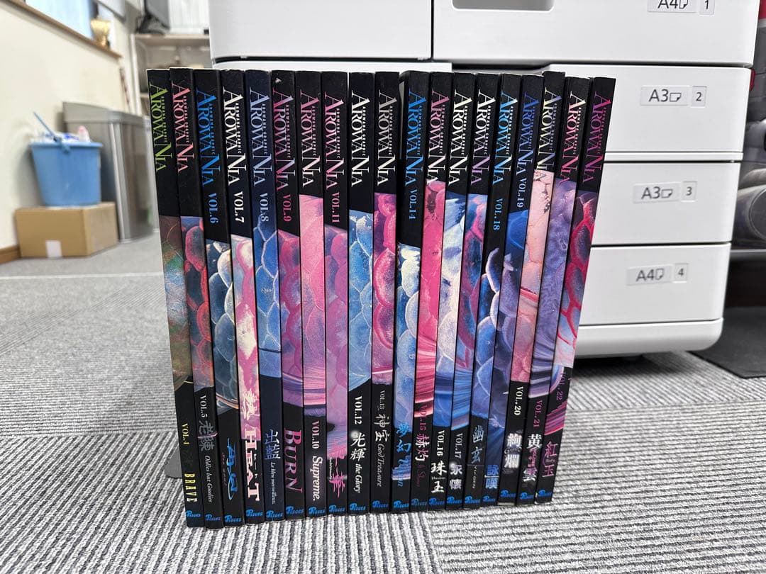 AROWANIA-アロワナグラフィック