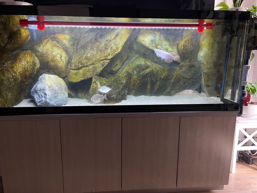 水槽セット 150x60x60 引き取りのみ