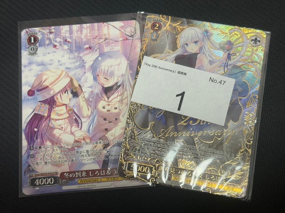 CXチャレンジ Key PR＋ 海を見つめる少女 しろは 冬の到来しろは&うみ