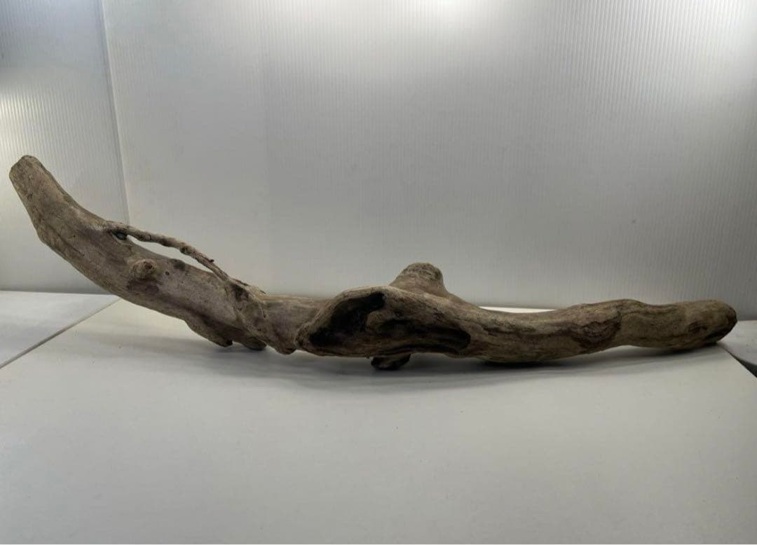 専用品 大型流木 アク抜き済み