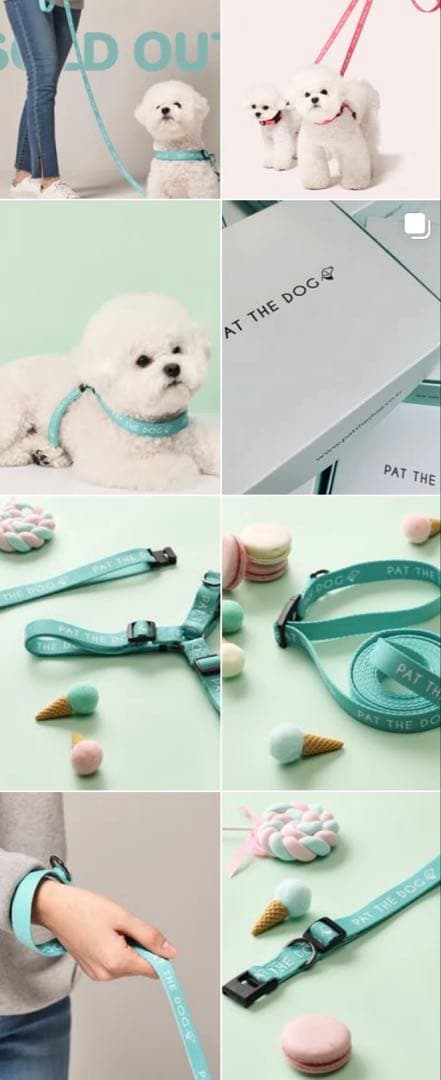 PAT THE DOG リード　ハーネス　2点セット　ティファニーブルー　犬