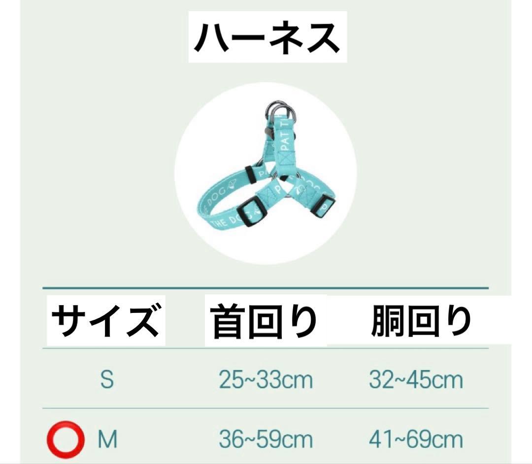 PAT THE DOG リード　ハーネス　2点セット　ティファニーブルー　犬