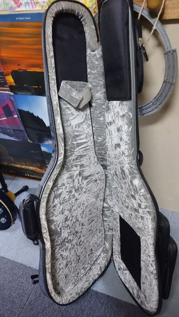 Epiphone Les Paul Standard Pro ギグバック付き