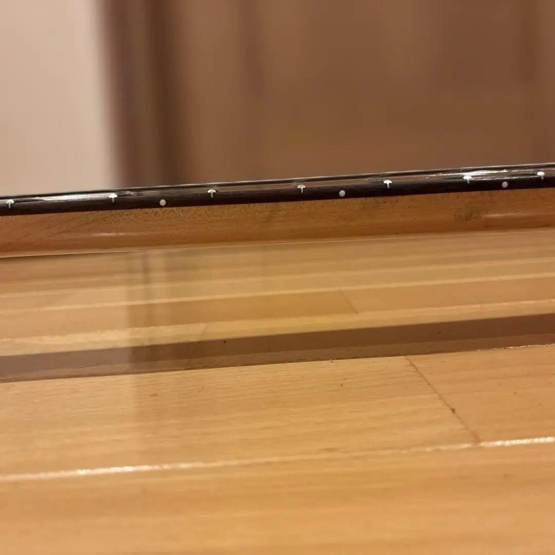 FERNANDES FGZ-420 ゴールドパーツ仕様 トレモロアーム付