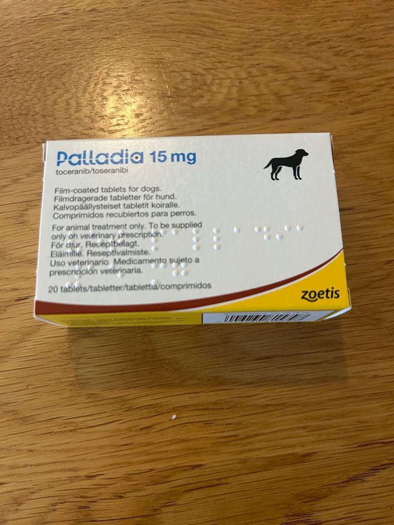 パラディア錠　未使用　20錠