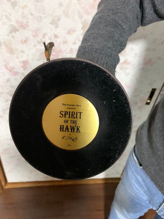 フランクリンミントのRＪマーフィーホークの精神