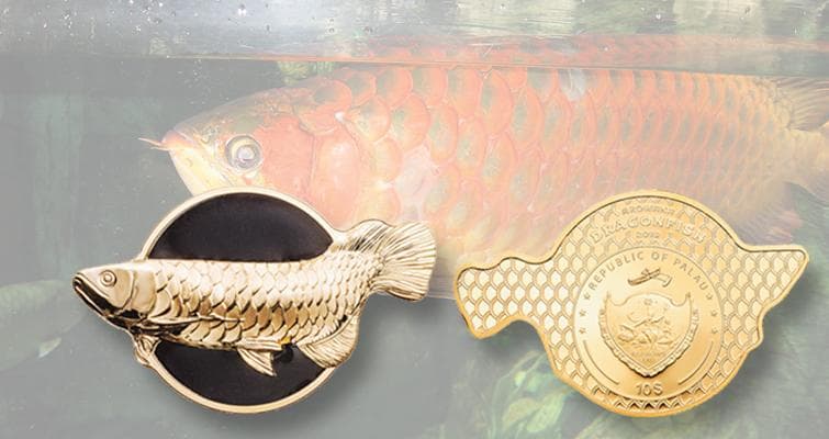 最高鑑定　PCGS-PR70 DCAM FDI パラオ アロワナ 2019 銀貨