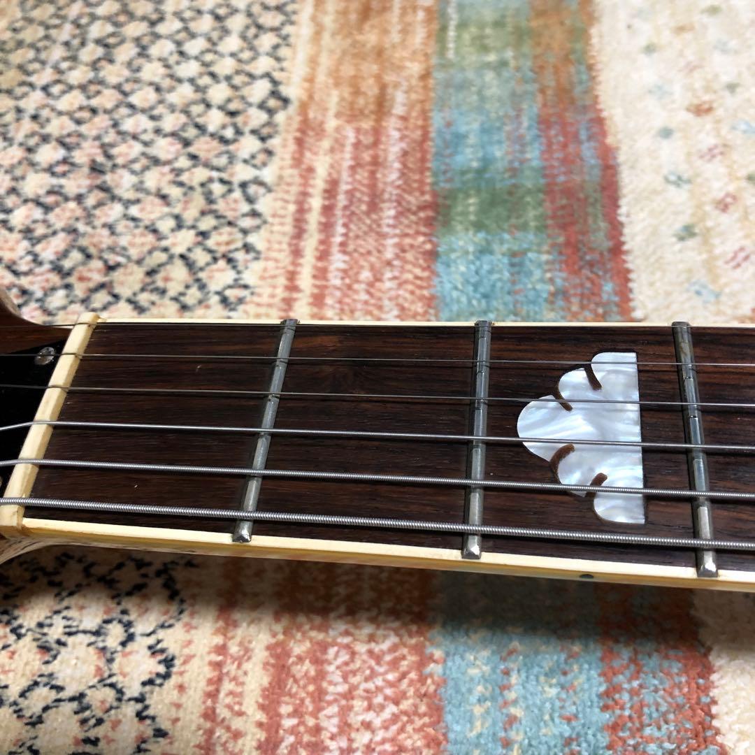 ギター FERNANDES MG-70X