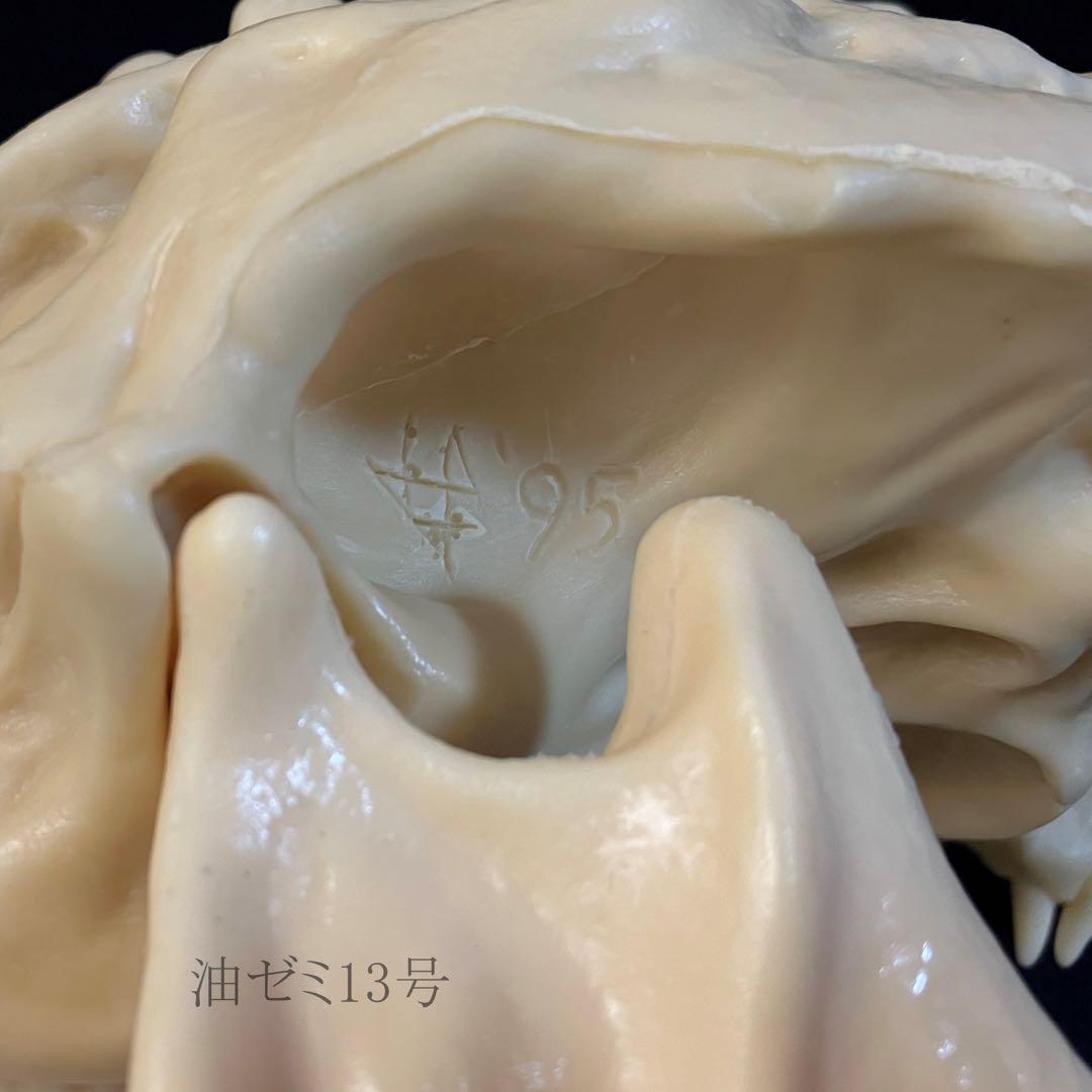 ゴジラスカル　Godzilla skull　ガレージキット　頭骨　頭蓋骨