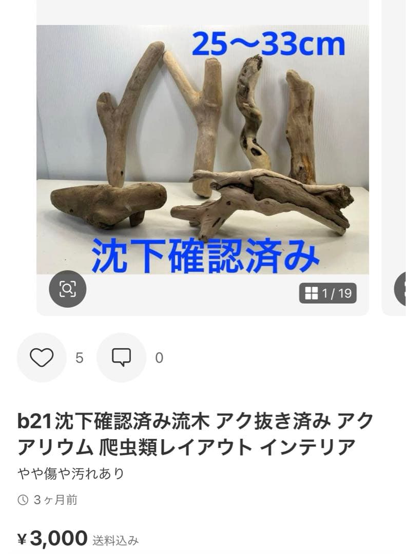 t55アク抜き済み流木セット 爬虫類シェルター 登り木 インテリア エアプランツ