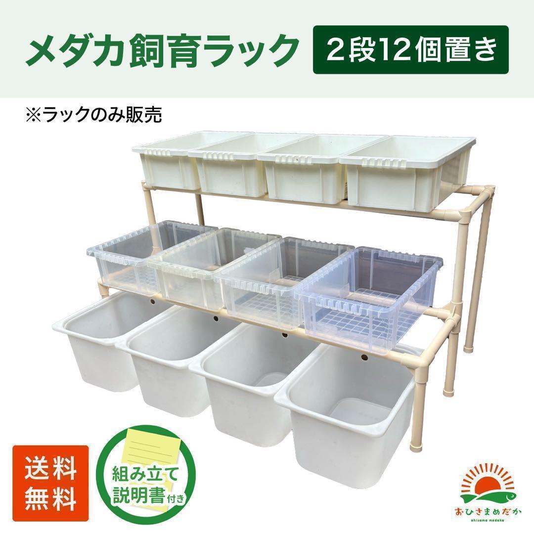 SALE★メダカ飼育ラック白2段12個置き★ めだか飼育棚NVBOXビオトープ