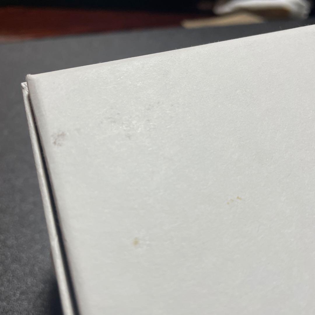 LOEWE シルバーブローチ ロゴデザイン