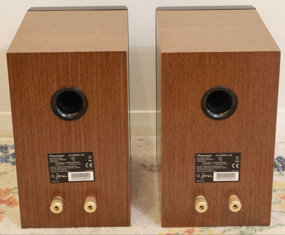 Pioneer パイオニア S-CN301-LR スピーカー ペア