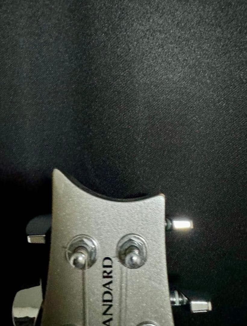 PRS SE STANDARD 24 Platinum ポールリードスミス