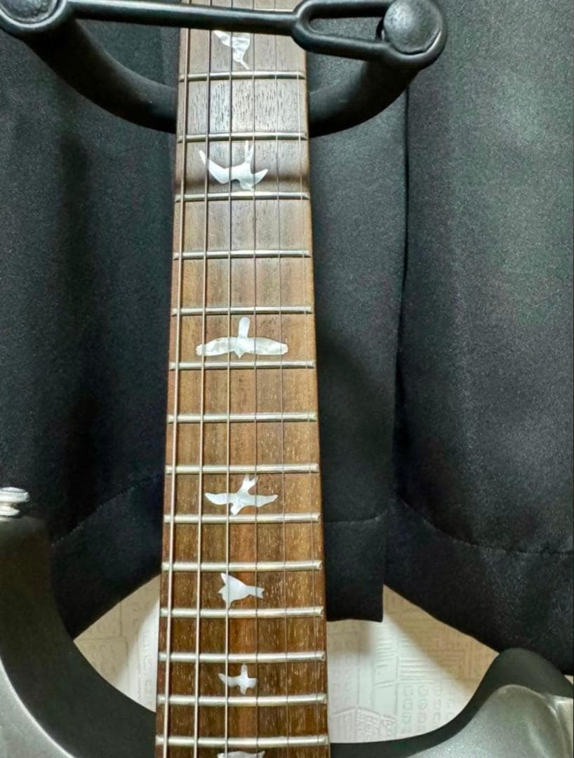 PRS SE STANDARD 24 Platinum ポールリードスミス