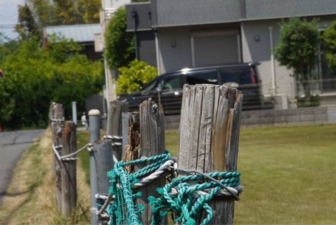 EF28-135mm F3.5-5.6 IS USM 作例あり