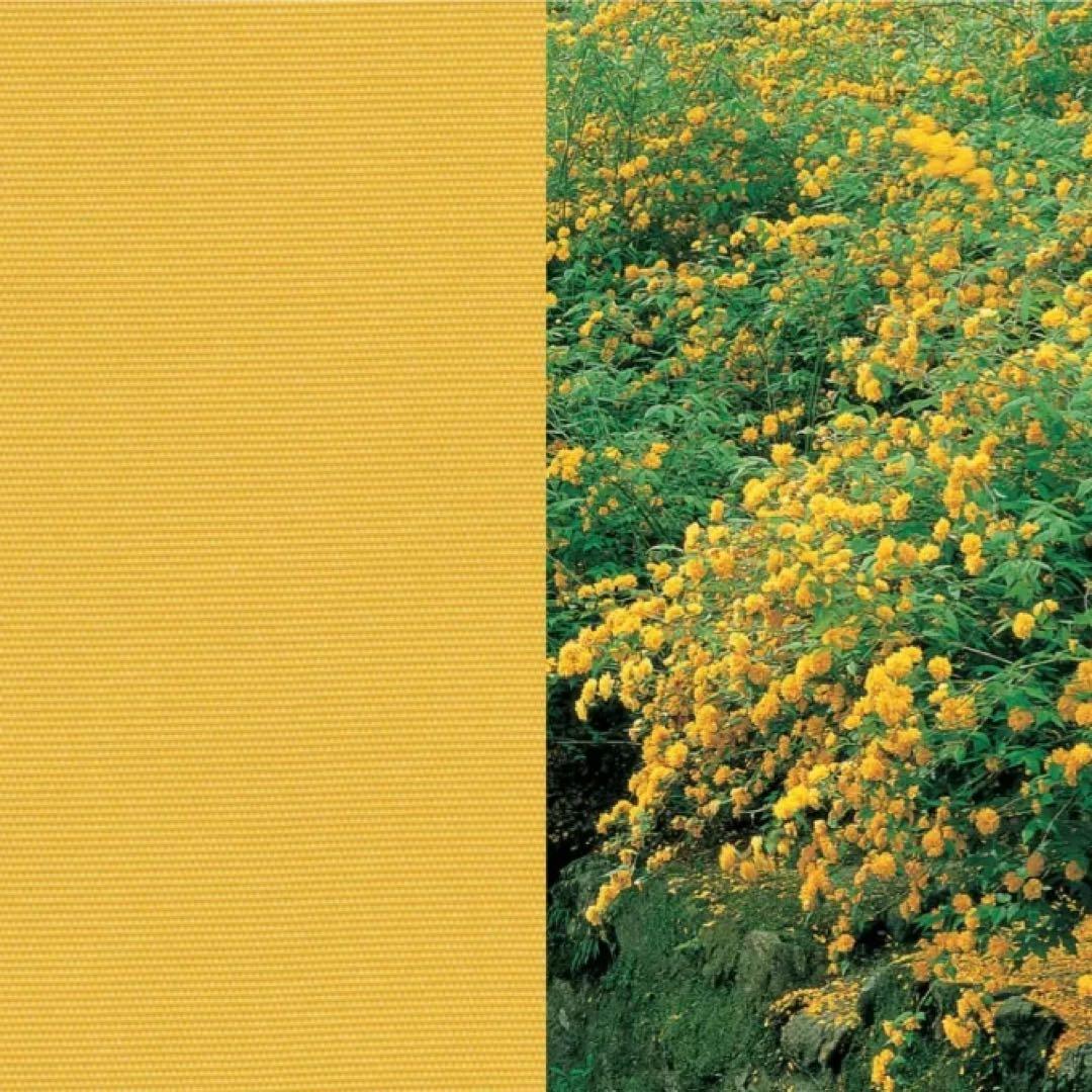 めぐみん　振袖フルセット　振袖　長襦袢　袋帯　帯揚げ　帯締め