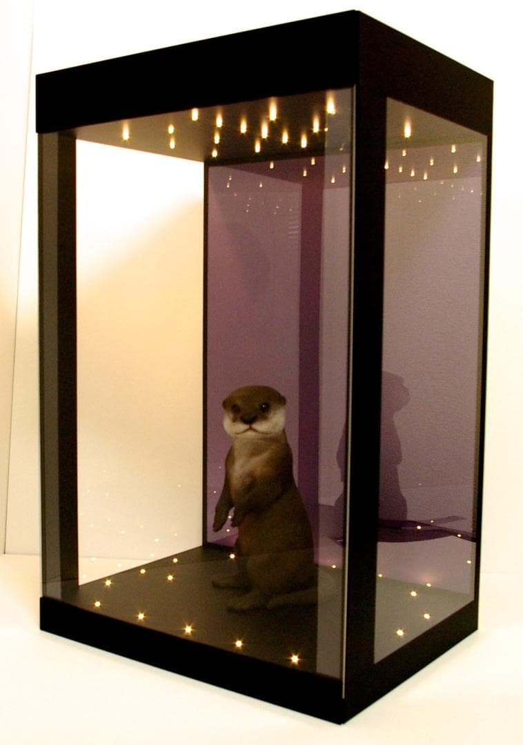 ay⭐︎⭐︎＊・W75.D25.H50cmディスプレーBOXネオジオラマ