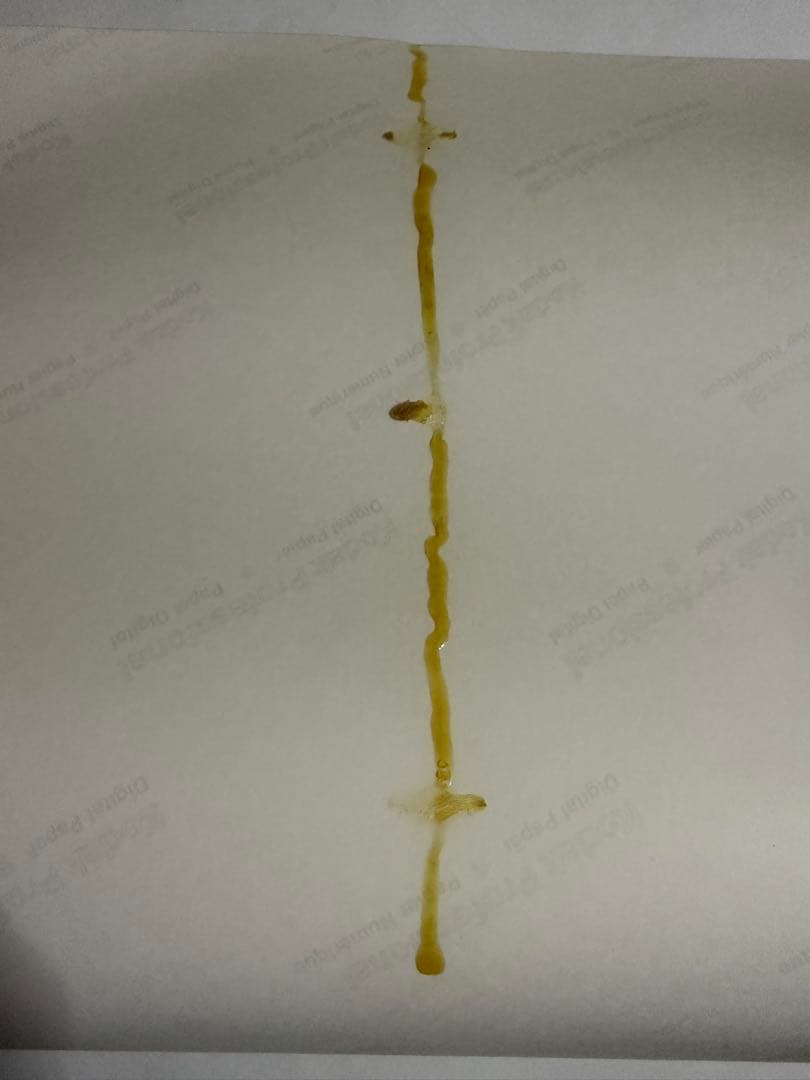 磯山さやかポスター【イベント限定特典品】【くじ抽選当選品】【非売品】在庫1点限り