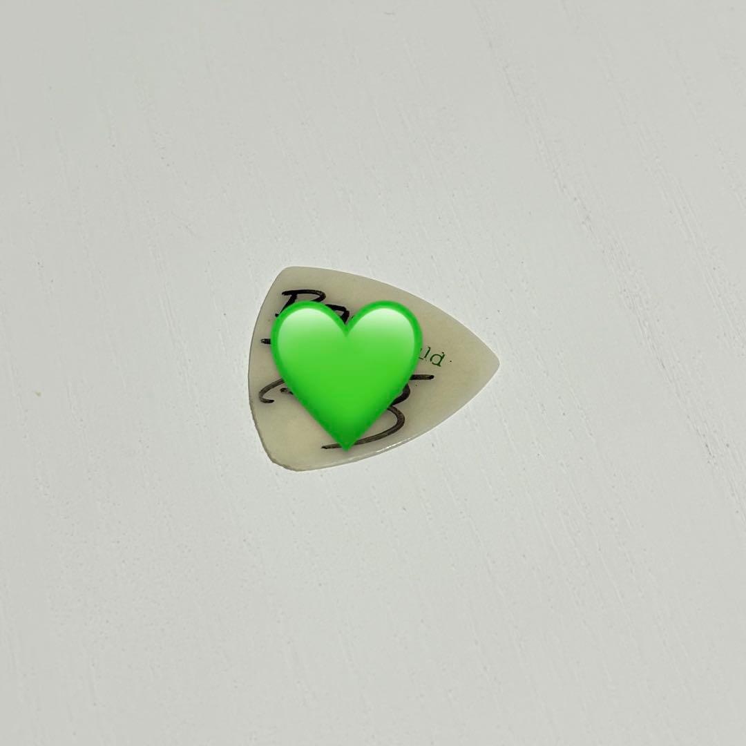 シンガーズハイ みつ ピック サイン入り