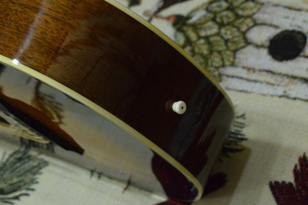 Morris MR-451BS エレアコ ケース付