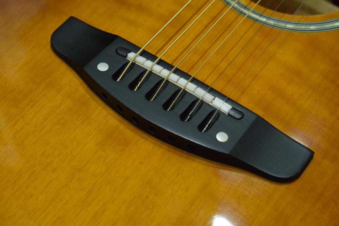 Morris MR-451BS エレアコ ケース付