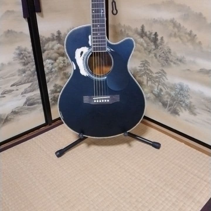 アコースティックギター 黒 ブラック　カスタム　Tay○or パールシェル製