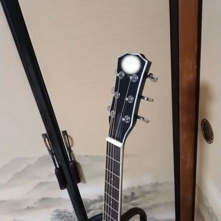 アコースティックギター 黒 ブラック　カスタム　Tay○or パールシェル製