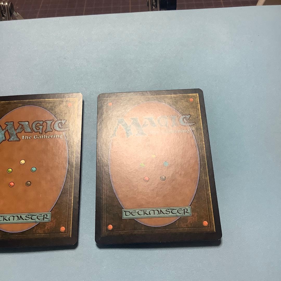 *バラ売り可*  神聖なる泉　 DIS日本語2枚セット