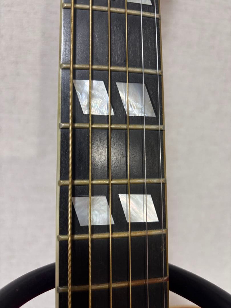 Morris MG-80オール単板 ジャパンビンテージ