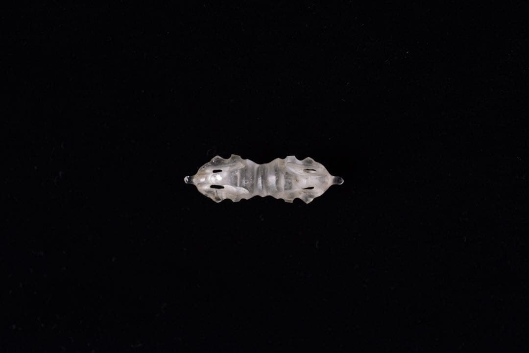 クリスタル　ドルジェ