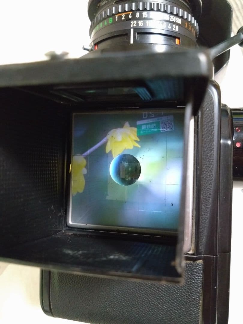 フィルムカメラ Hasselblad 500C/M